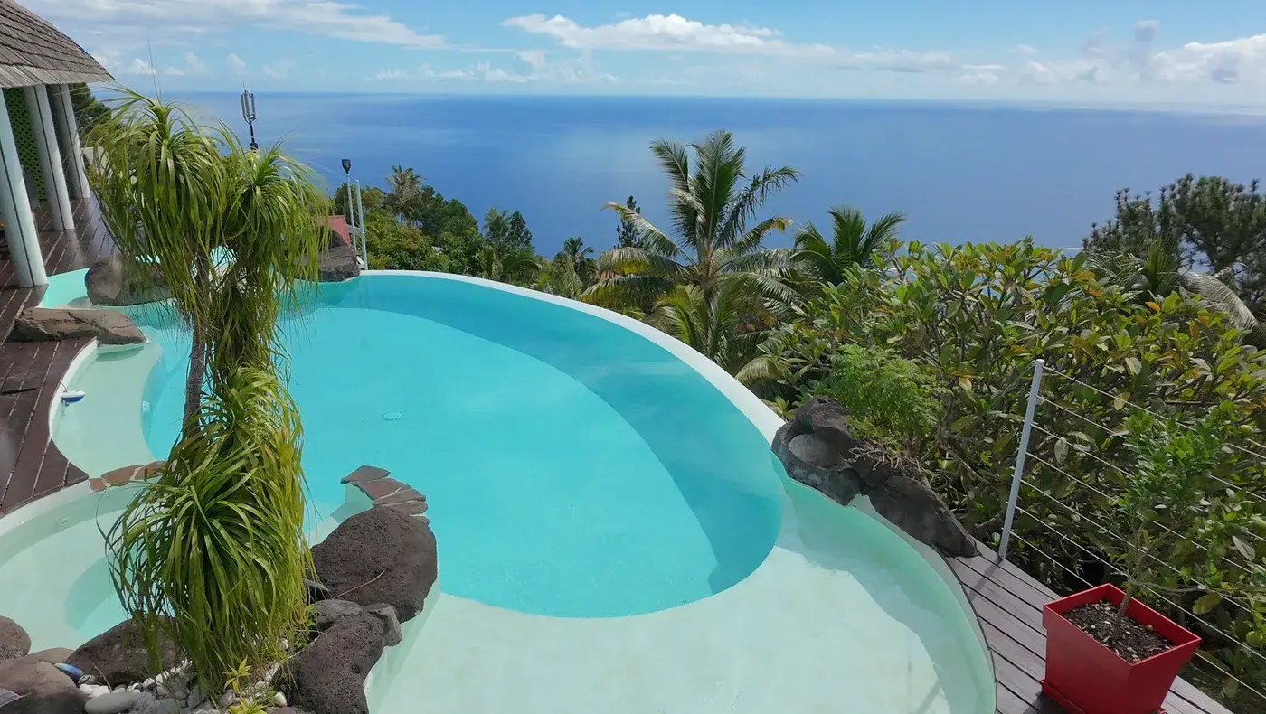 Aerial view of the pool surrounded by tropical vegetation and the lagoon